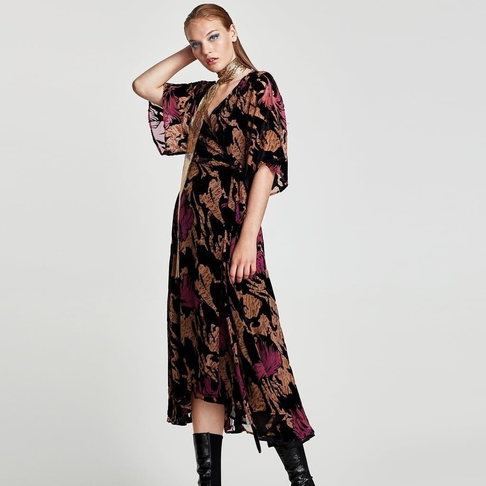 Zara Rare Devore Velvet Dress
